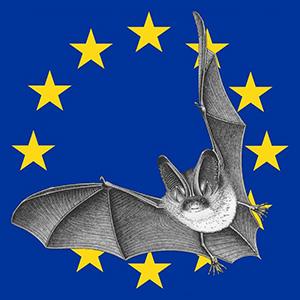 28e édition Nuit chauves-souris